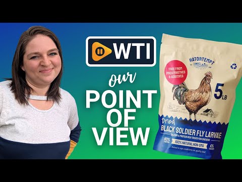 Hatortempt Black Soldier Fly Larvae for Chickens 5LB – Non-GMO Treat with More Calcium Than Mealworms – Organic Dried BSF Larva for Chickens – Protein Snack for Laying Hens - WTI product video review