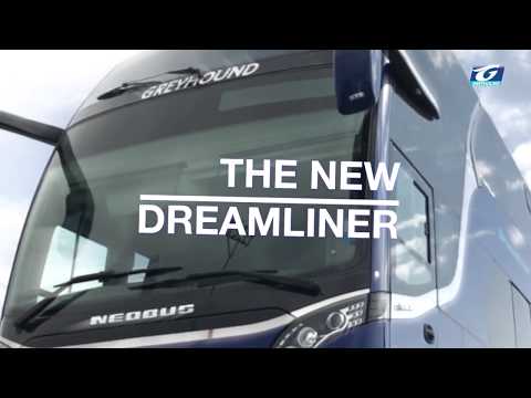 Greyhound