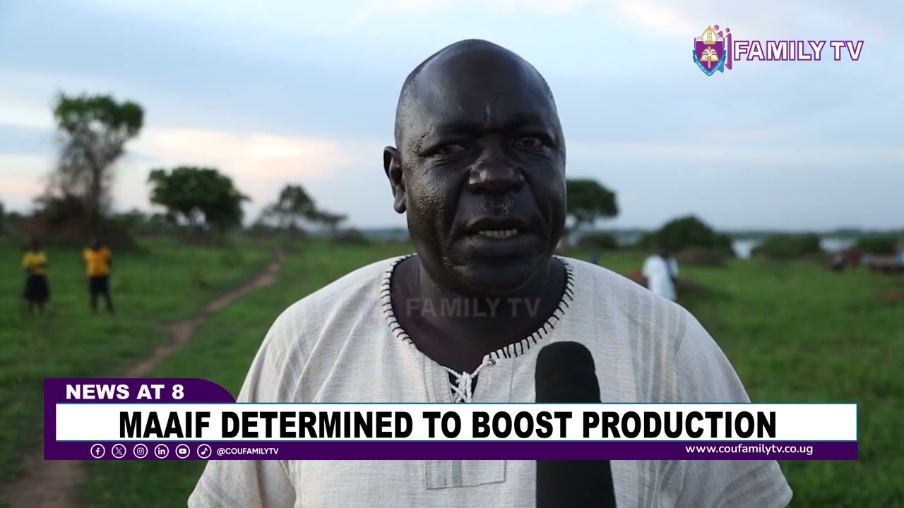 Poverty Eradication Through Cashew Nuts Growing