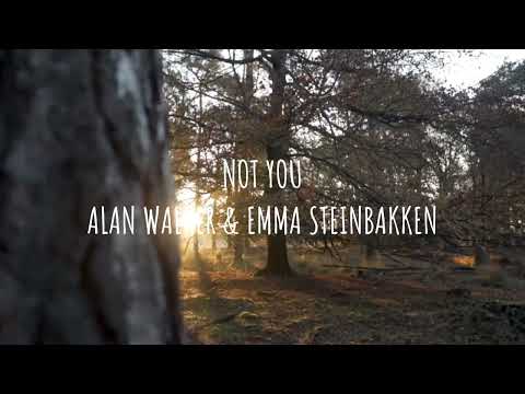 Not You Allan Walker & Stein Bakken