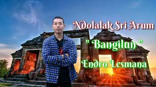 Download lagu Ndolalak Sri Arum Jawa tengah - Bangilun 1 versi asli mp3