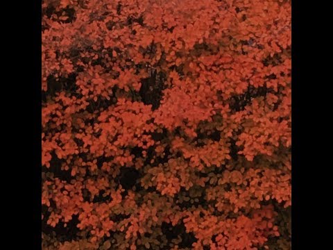 Olxane - Vermilion Ruin (full ep, 2018)