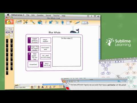 Introduction Video