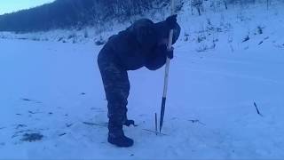 Ловля ерш носарь на дону