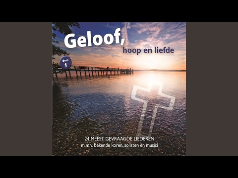 Er Is Een Verlosser (live)