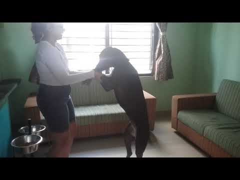 Beautician Ebony🐶🗿!