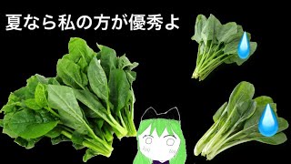 小松菜やほうれん草にも負けない！ツルムラサキの紹介