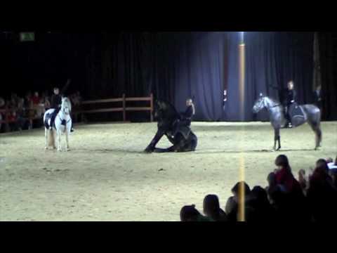 ShowReitSchule Rabea Schmale auf der Hund und Pferd in Dortmund