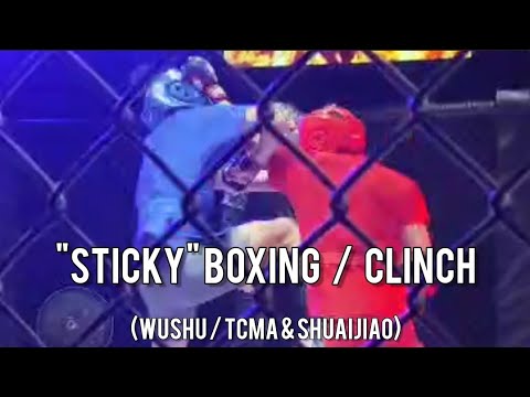 Manipulations in Sticky Boxing / Clinch #kungfu #shuaijiao #sanda #mma