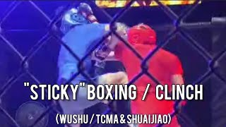 Manipulations in Sticky Boxing / Clinch #kungfu #shuaijiao #sanda #mma