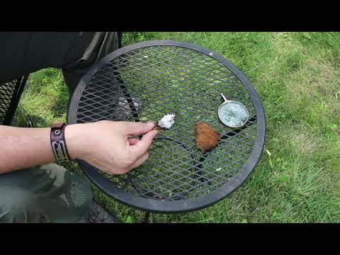 How to Start a Solar Fire With a Fungus