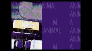 JOHN WATTS - ANIMAL - THIRTEEN STORIES HIGH