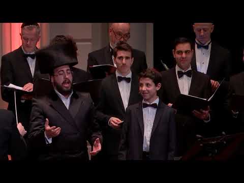 Maoz Tsur at the Concertgebouw (2017)