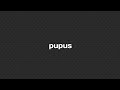 Pupus - Dewa19 (karaoke female key)