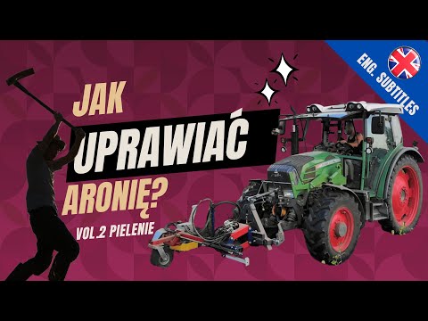 Zobacz filmy, Piotr Eggert Szkółka Specjalistyczna Aronii Czarnoowocowej, Kolonia Bądków