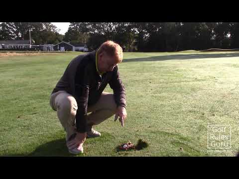 Loose Impediments and Divots