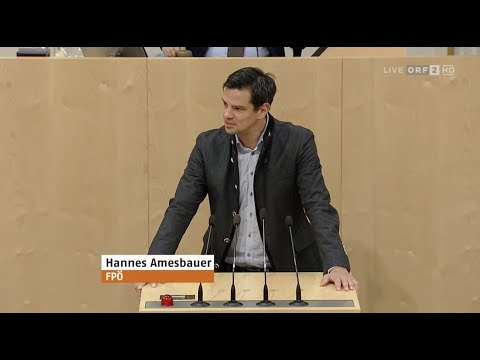 Hannes Amesbauer - Volksbegehren "RÜCKTRITT BUNDESREGIERUNG" - 18.11.2022