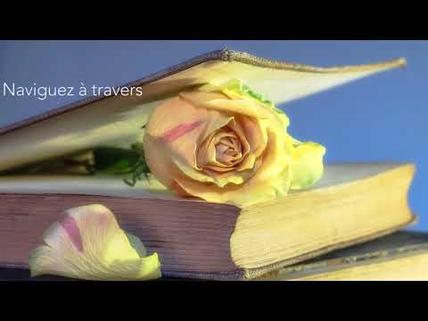 Bible Louis Segond Video