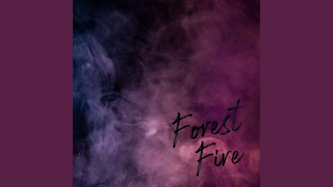 Forest Fire