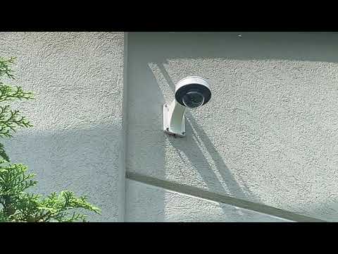 College Classroom Plagued by Yellow Jackets in Lincroft, NJ