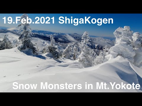 [4K] 19.Feb.2021 志賀高原 ShigaKogen Snow Monsters in Mt.Yokote