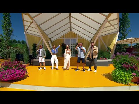 Sarah Zucker, Neonlicht, Andy Borg - Hitparaden Medley (Immer wieder Sonntags 29.06.2025)