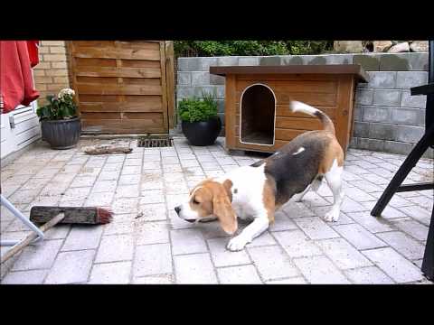 download lagu mp3 mp4 Kvik Deutschland, download lagu Kvik Deutschland gratis, unduh video klip Kvik Deutschland