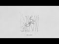 Plini – Birds / Surfers | Progressive Metal 2020
