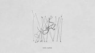 Plini – Birds / Surfers | Progressive Metal 2020