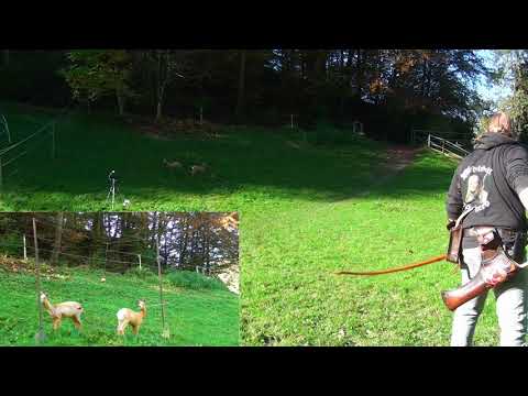 Longbowshooting -Medieval Longbow