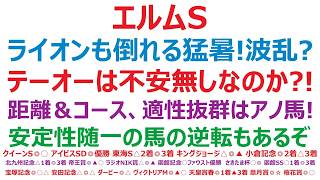 【エルムステークス2026】予想　ライオンも倒れる猛暑の夏！波乱？テーオーパスワードに不安はないのか？！距離＆コース、適性抜群なのはアノ馬！安定性随一の馬の、逆転もあるぞ。