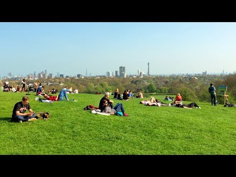 download lagu mp3 mp4 Primrose Hill Viewpoint, download lagu Primrose Hill Viewpoint gratis, unduh video klip Primrose Hill Viewpoint