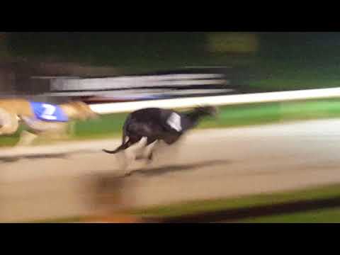 Redzer Ardfert beating Ballymac Anton in a challenge over 570yds at Tralee on 7th Dec 2019.