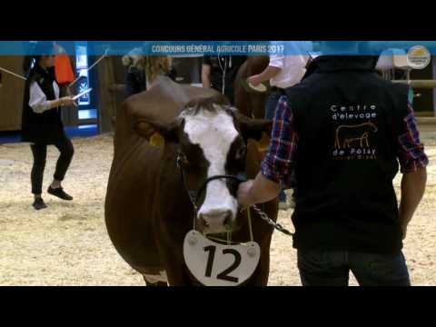 Voir la vidéo : Ring de présentation du 01 mars 2017, partie 1