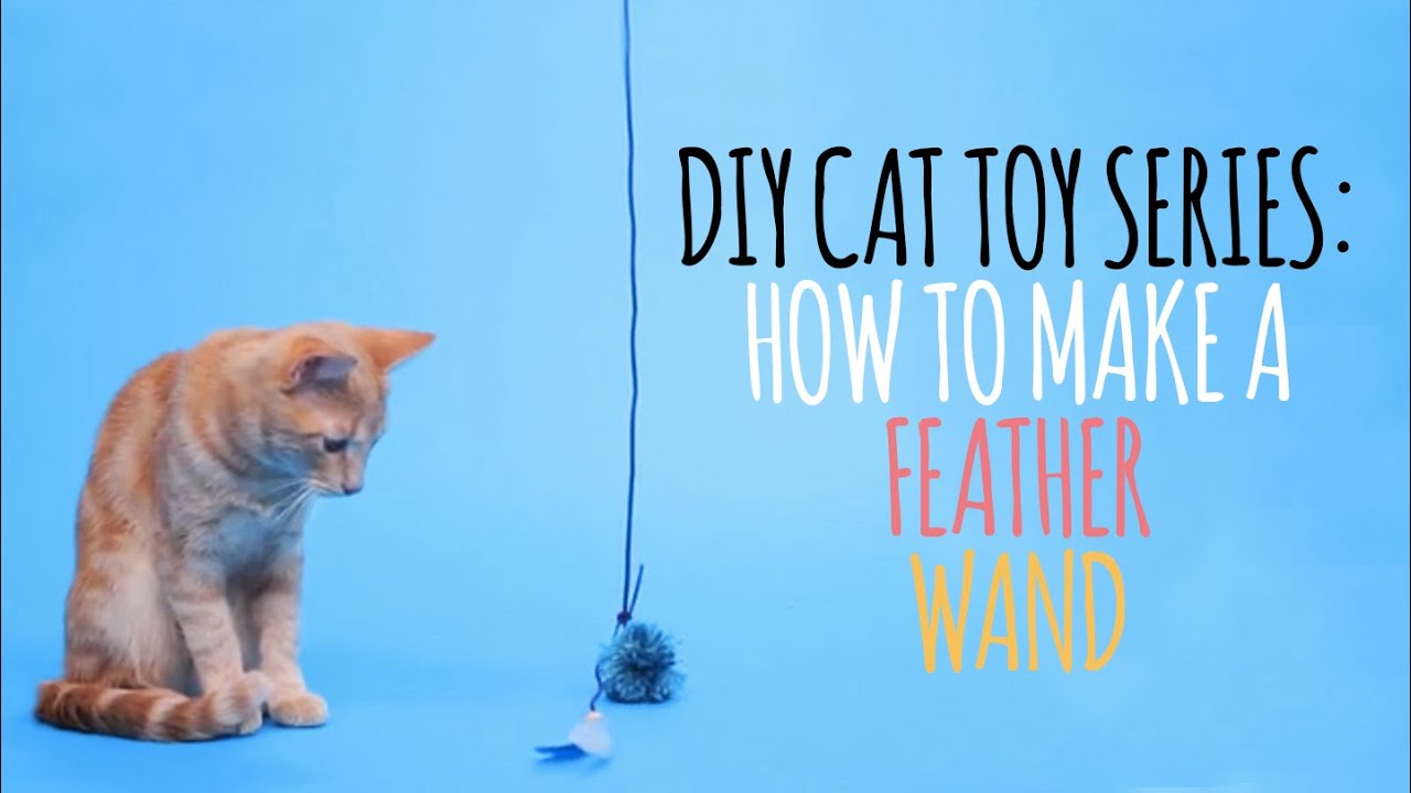 juguetes DIY para gatos que puedes hacer