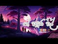 Shahen Silva Bo Maluwe Mal බෝ මළුවේ මල්