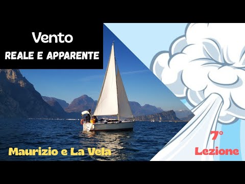 THE MOST FAVORABLE POINT OF SAIL FOR THE SAILOR ⚓🚢 #sailingboat #sailing