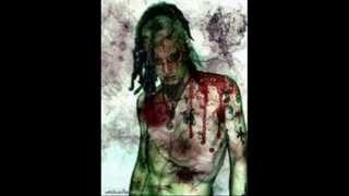 bidadarisenjakala@iwanfals