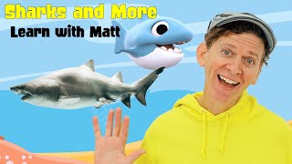 Sharks and More Sea Creatures | Learn with Matt | Dream English Kids