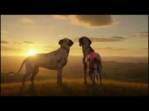 “The Amazing 101 Dogs Adventure!”