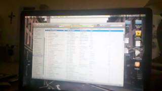 My rendition of Birds of Paradise by Basia Bulet