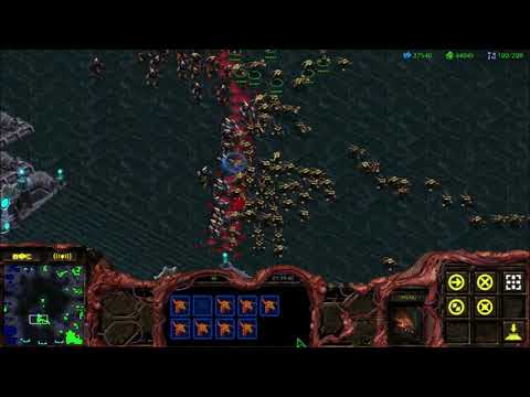 100 Zealots vs 200 Cracklings