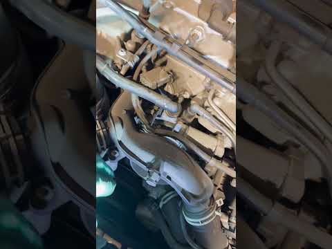 IMG 2205