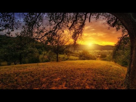 አውታሩ ከበደ ኑሮዬን የታምራት አድርጎታል የአማርኛ መዝሙር Awtaru Kebede Nuroyen yetamrat adrgotal amharic song lyrics🙏.