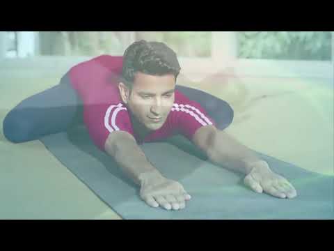 Common Yoga Protocol English Full Version International Day of Yoga   2017