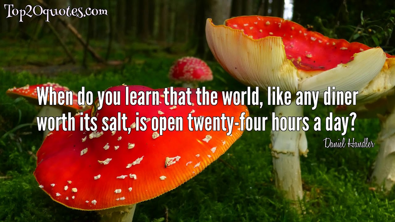 💥 Top 20 Quotes of Daniel Handler - Author