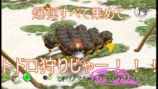 ピクミン　爆弾すべて集めてドドロ狩り!?