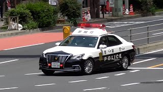 Re: [新聞] 被國際看到不守交通規則！波蘭記者：高