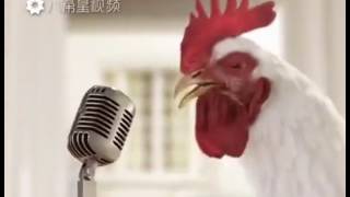 cock song -ALARM