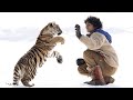 Le Tigre Et L Enfant